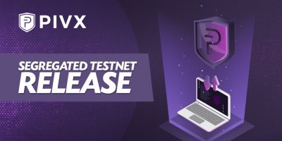 segregqated-release-long.jpg